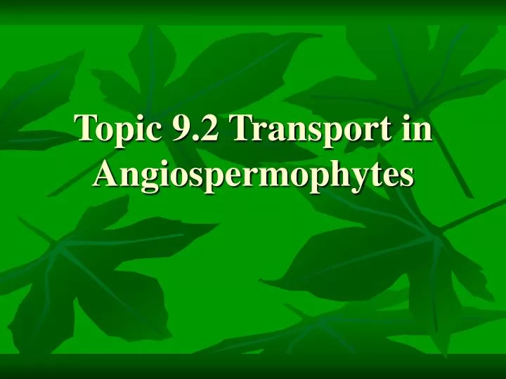 topic 9 2 transport in angiospermophytes