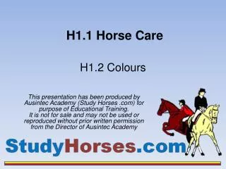 H1.1 Horse Care