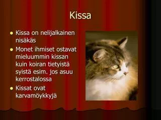 kissa