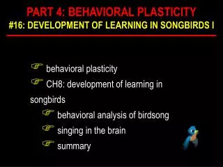 behavioral plasticity CH8: development of learning in songbirds behavioral analysis of birdsong