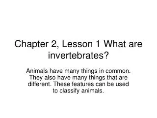 Chapter 2, Lesson 1 What are invertebrates?