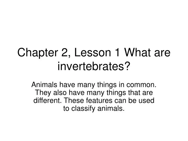 chapter 2 lesson 1 what are invertebrates