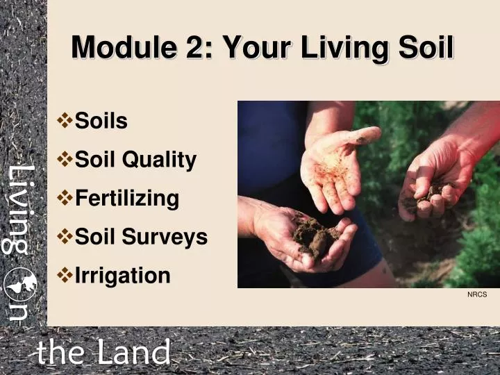 module 2 your living soil