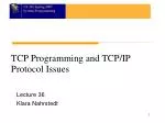 TCP Programming and TCP/IP Protocol Issues - slide 1