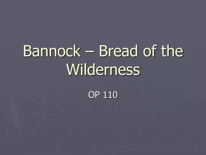 bannock bread of the wilderness