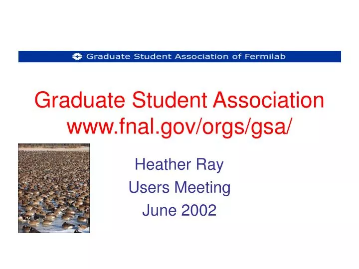 graduate student association www fnal gov orgs gsa