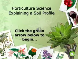 horticulture science explaining a soil profile