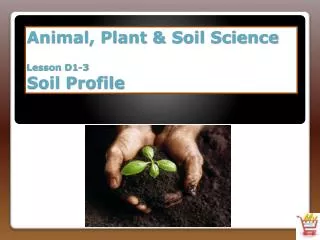 Animal, Plant &amp; Soil Science Lesson D1-3 Soil Profile
