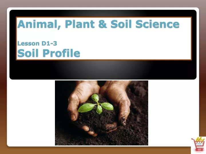 animal plant soil science lesson d1 3 soil profile
