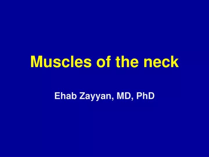 muscles of the neck