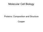Molecular Cell Biology - slide 1