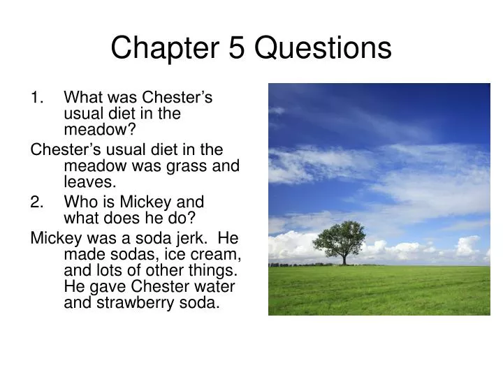 chapter 5 questions