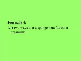 Journal # 4: List two ways that a sponge benefits other organisms.