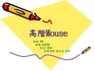 mouse