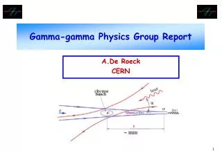 Gamma-gamma Physics Group Report