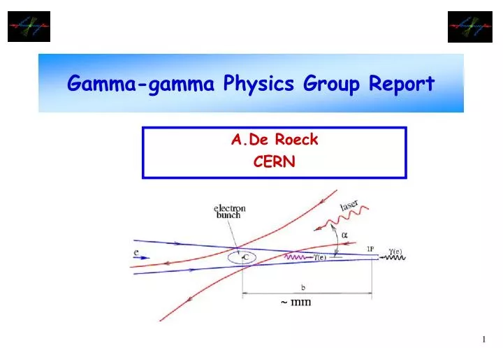 gamma gamma physics group report