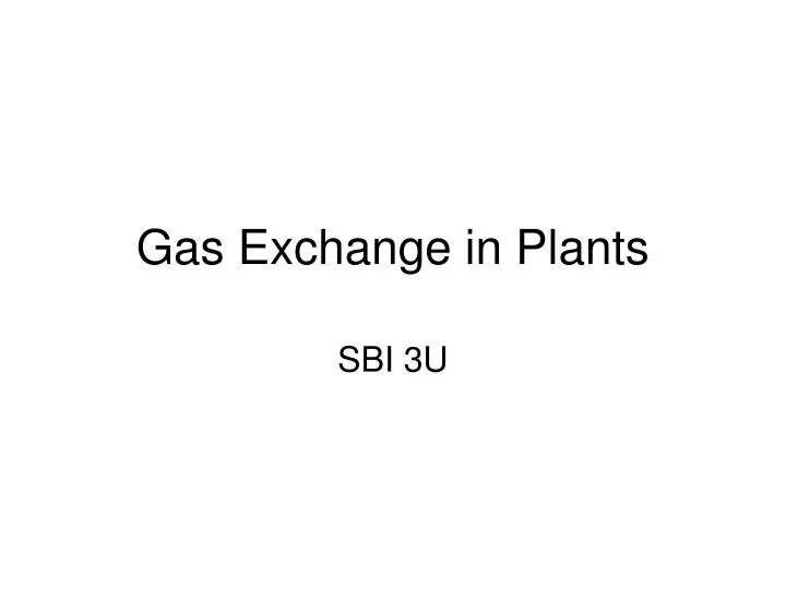 gas exchange in plants
