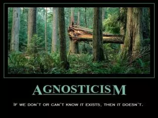 THEISTIC HYPOTHESIS