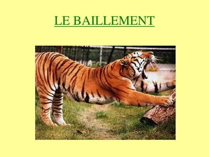 le baillement