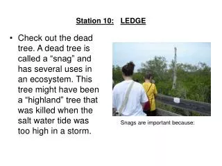 Station 10: LEDGE