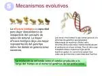 Mecanismos evolutivos - slide 1