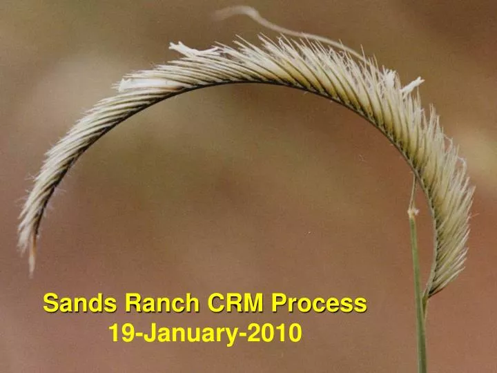 sands ranch crm process 19 january 2010