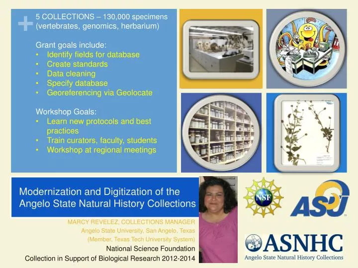 modernization and digitization of the angelo state natural history collections