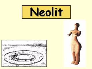 neolit