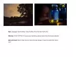 Kyle : (singing) I love fireflies! I love fireflies! Fire fire fire ! Fly fly fly ! - slide 1
