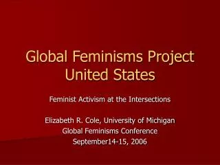 Global Feminisms Project United States