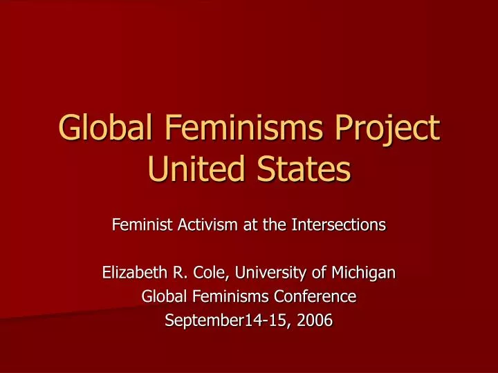 global feminisms project united states