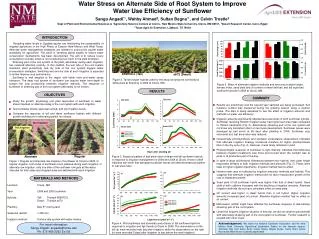 Water Stress on Alternate Side of Root System to Improve Water Use Efficiency of Sunflower