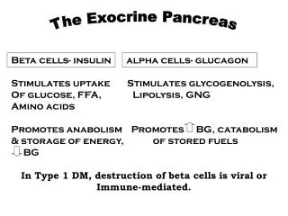 The Exocrine Pancreas