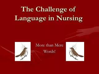 The Challenge of Language in Nursing