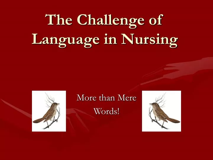the challenge of language in nursing