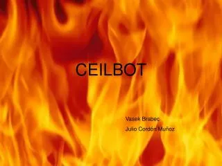 CEILBOT