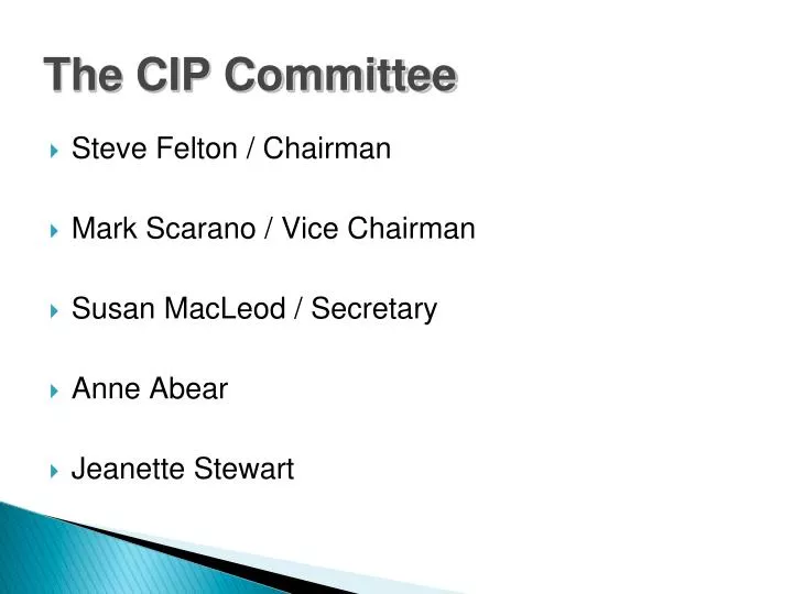 the cip committee