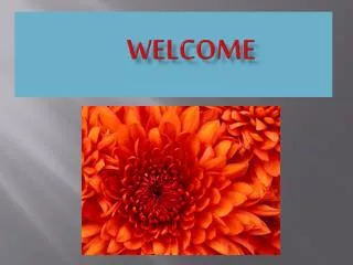 welcome