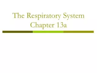 The Respiratory System Chapter 13a