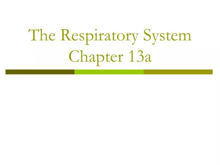 the respiratory system chapter 13a