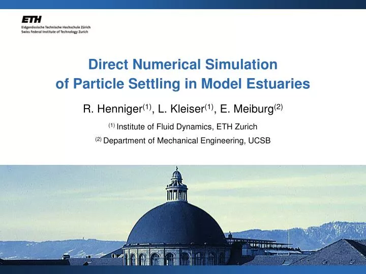 direct numerical simulation of particle settling in model estuaries