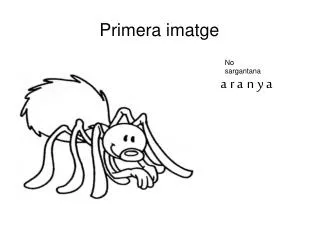 primera imatge