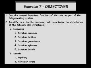 Exercise 7 - OBJECTIVES