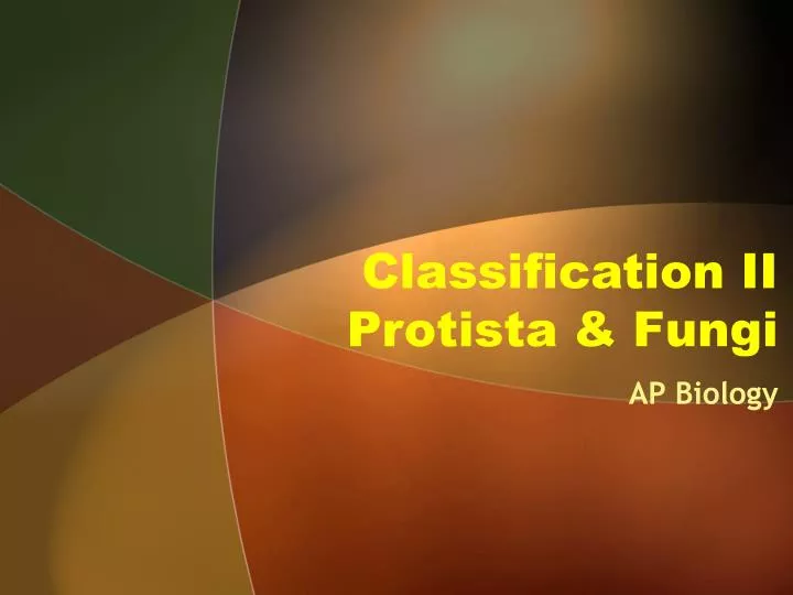 classification ii protista fungi