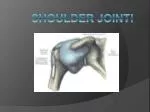 SHOULDER JOINT! - slide 1