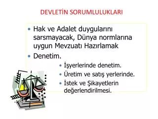 devlet n sorumluluklari