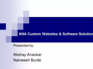 ANA Custom Websites &amp; Software Solutions