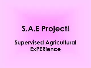 S.A.E Project!