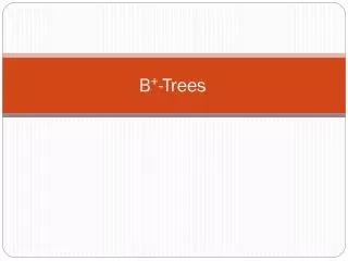 B + -Trees