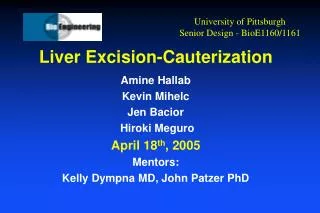 Liver Excision-Cauterization